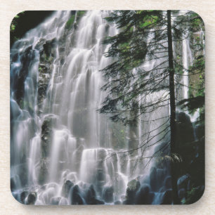 Waterfall in forest, Oregon Coaster
