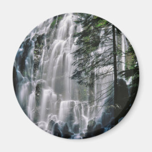 Waterfall in forest, Oregon Magnet