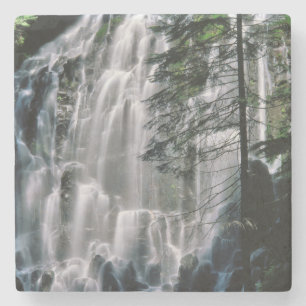 Waterfall in forest, Oregon Stone Coaster