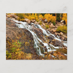 Waterfall In Grand Teton National Park Postcard