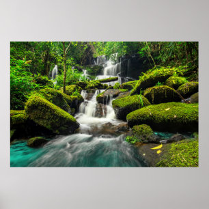 Waterfall in Jungle   Phu Tub Berk Mountain Poster