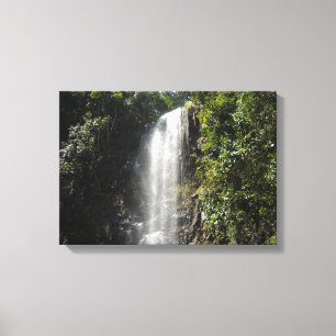 Waterfall in Kauai, Hawaii Canvas Print