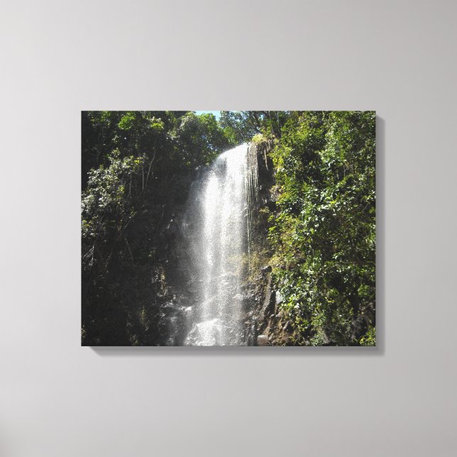 Waterfall in Kauai, Hawaii Canvas Print (Front)