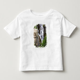 Waterfall in Mount Rainier National Park Toddler T-shirt