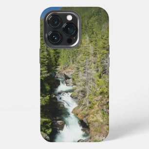 Waterfall in Olympic National Forest iPhone 13 Pro Case