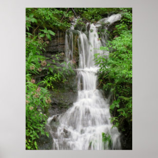 Waterfall in smokey Mountains Poster