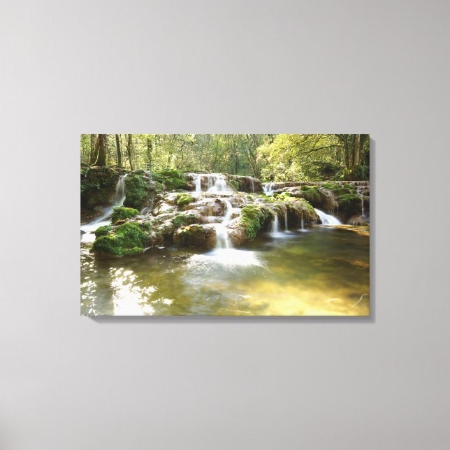 Waterfall in the Forest Canvas Print (Front)
