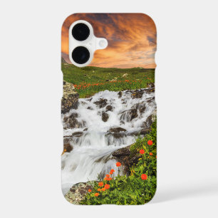 Waterfall in the Mountains with Flowers