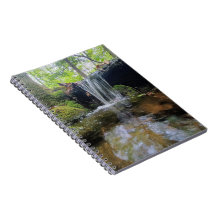 Waterfall In the Woods
