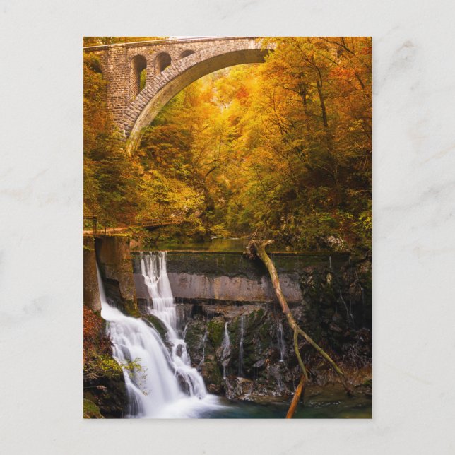 Waterfall in Vintgar Gorge canyon in autumn Postcard (Front)