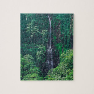 Waterfall Lush Costa Rican Jigsaw Puzzle