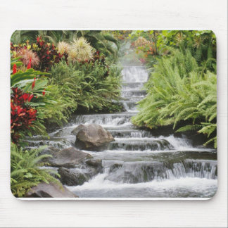 Waterfall Mouse Pad