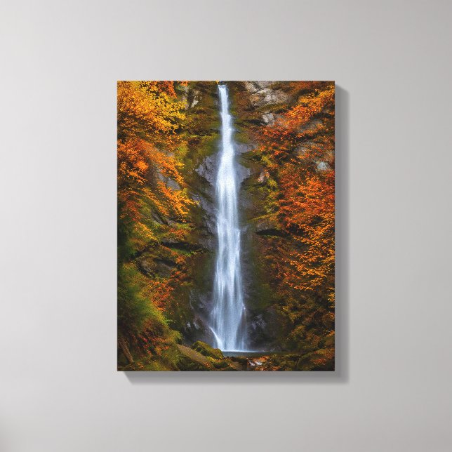 Waterfall No. 1, Waterfall Series Canvas Print (Front)