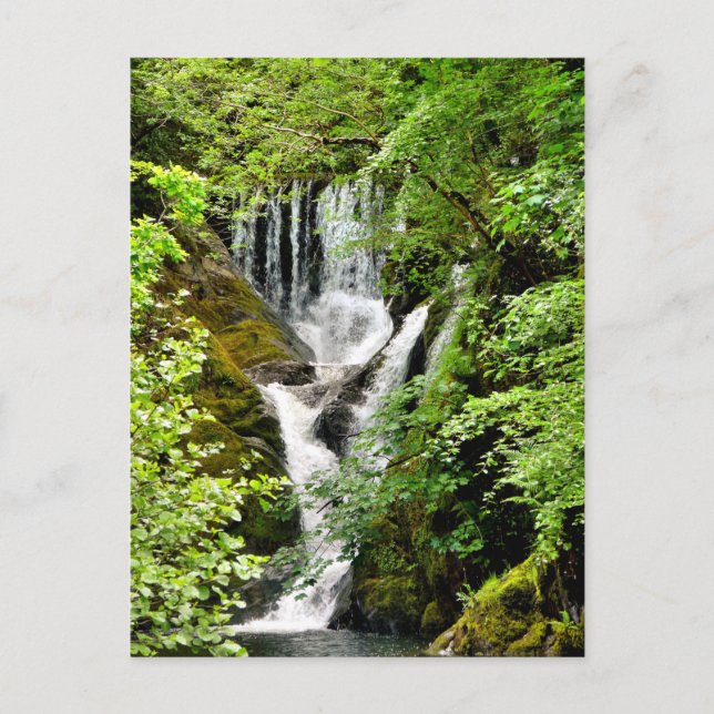WATERFALL POSTCARD (Front)
