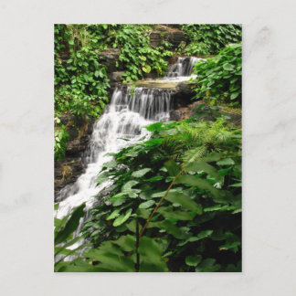 Waterfall Postcard