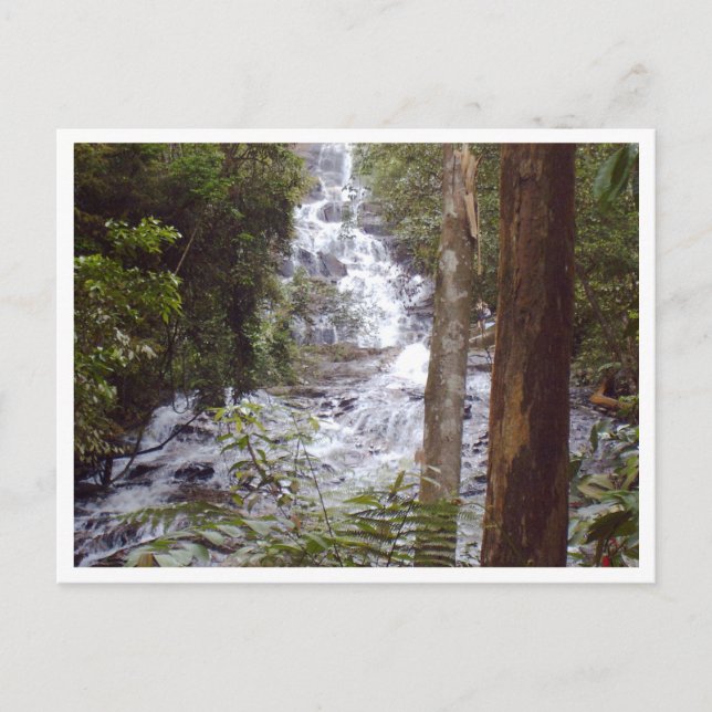 waterfall postcard (Front)