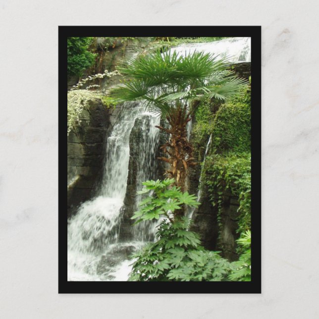 waterfall postcard (Front)