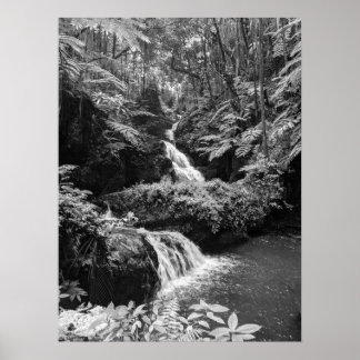 Waterfall Poster