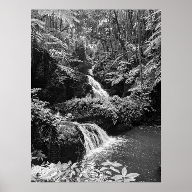 Waterfall Poster (Front)