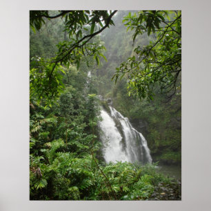 Waterfall Poster