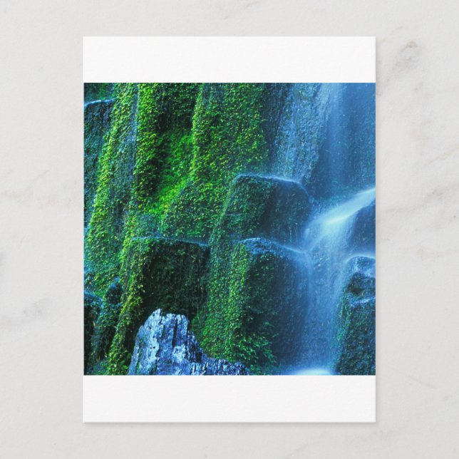 Waterfall Proxy Willamette Flow Postcard (Front)
