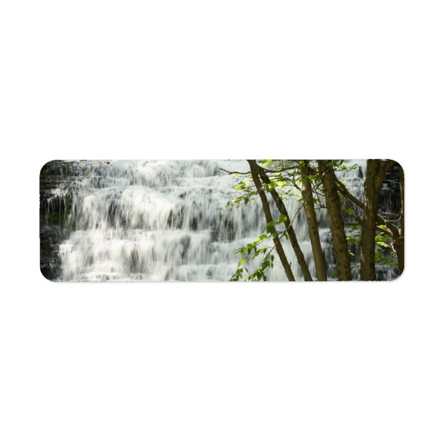 Waterfall return address labels (Front)