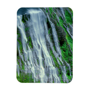 Waterfall scenic, California Magnet
