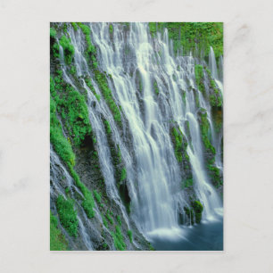 Waterfall scenic, California Postcard