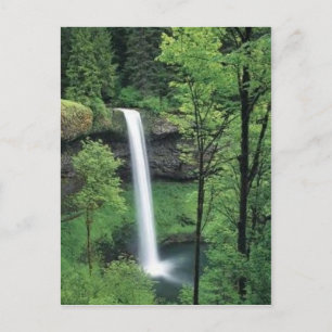 Waterfall surrounded by lush greens postcard