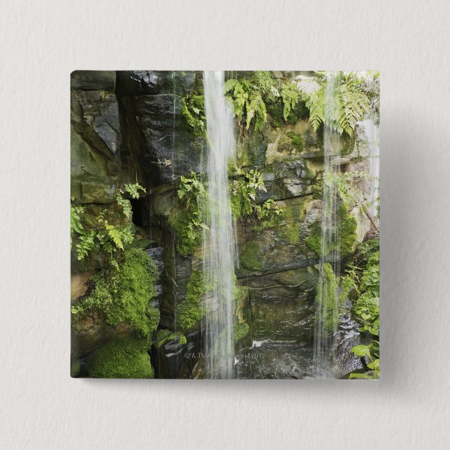Waterfall, Temperate rainforest, New Zealand. 2 Inch Square Button (Front)