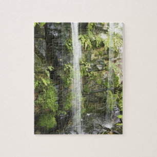 Waterfall, Temperate rainforest, New Zealand. Jigsaw Puzzle