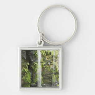 Waterfall, Temperate rainforest, New Zealand. Keychain