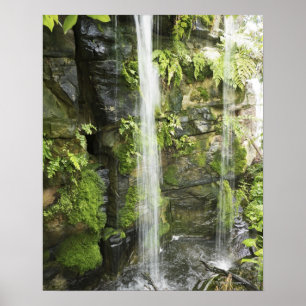 Waterfall, Temperate rainforest, New Zealand. Poster