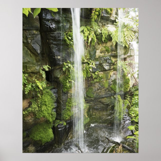 Waterfall, Temperate rainforest, New Zealand. Poster (Front)