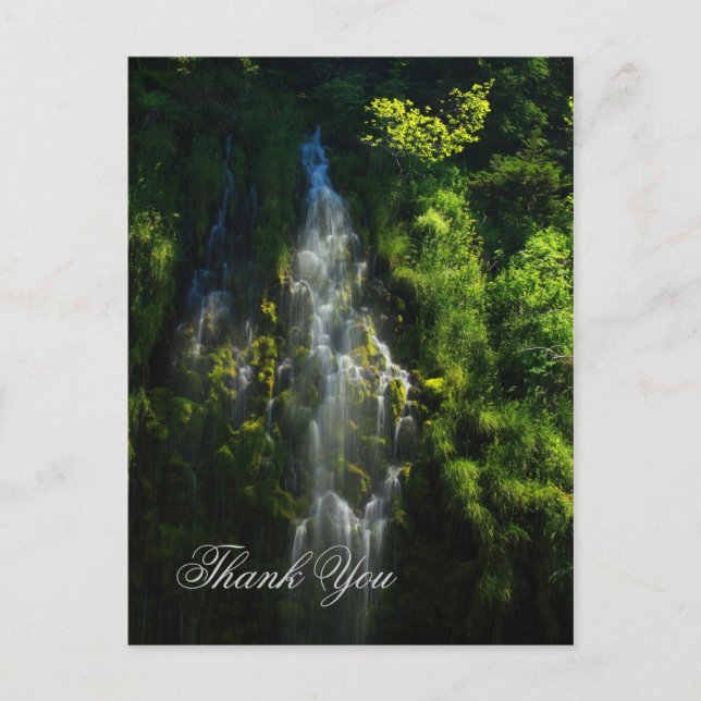 WATERFALL THANK YOU POSTCARD (Front)
