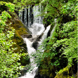 WATERFALL TISSUE PAPER