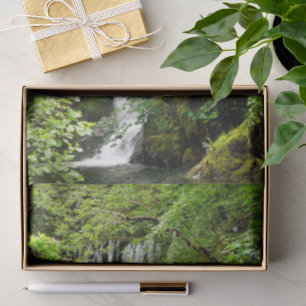 WATERFALL TISSUE PAPER