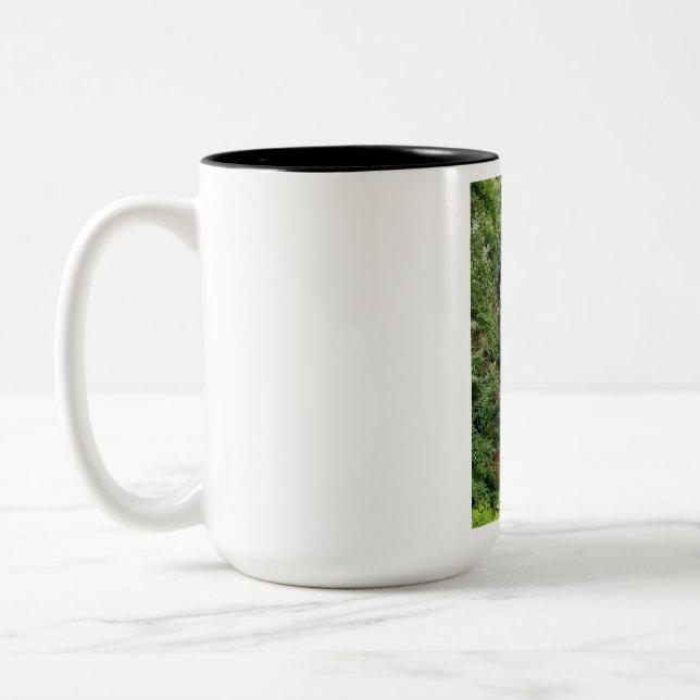 Waterfall   Two-Tone coffee mug (Left)