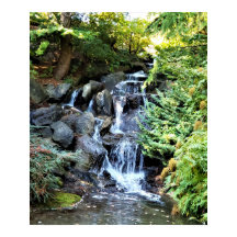 Waterfall Van Dusen Botanical Garden Vancouver