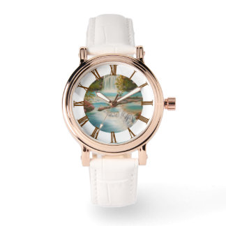 Waterfall Watch