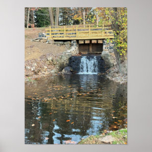 Waterfall with Pond Poster