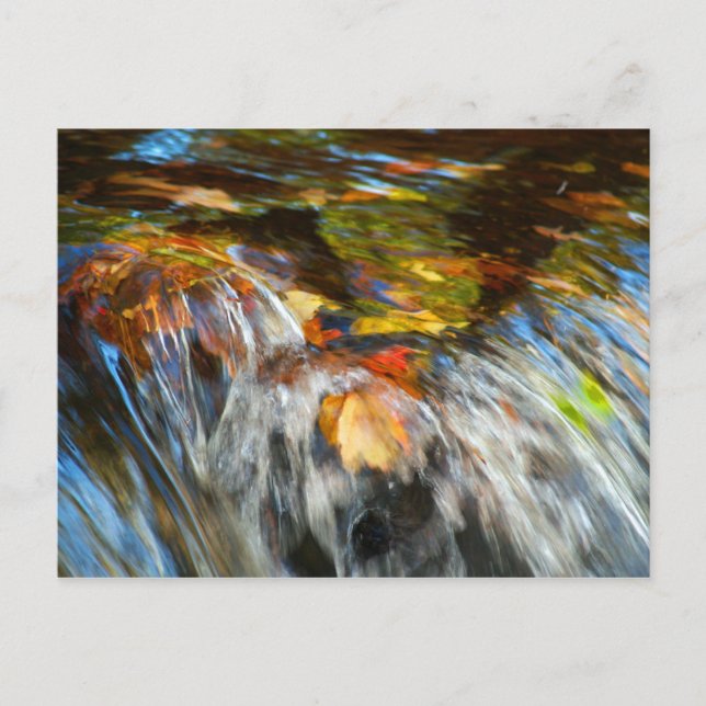 Waterfalling Leaves Postcard (Front)