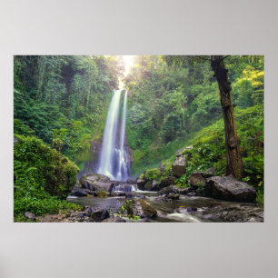 Waterfalls   Bali, Indonesia Poster