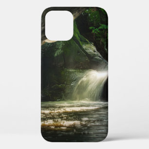 WATERFALLS iPhone 12 CASE