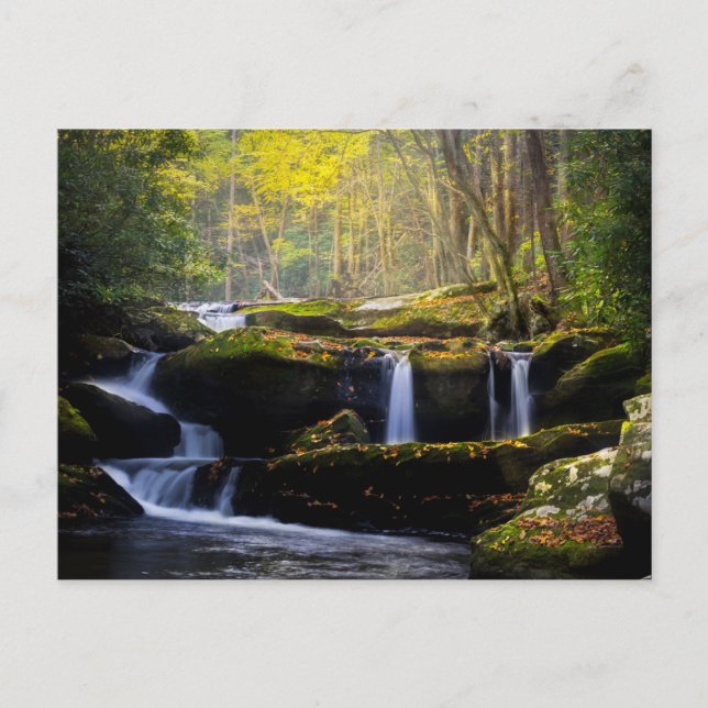 Waterfalls | Great Smoky Mountain National Park Postcard (Front)
