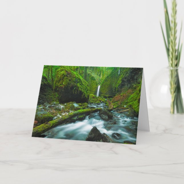 Waterfalls | Grotto Falls, Oregon Card (Front)