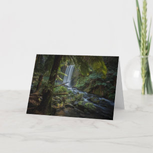 Waterfalls   Hopetoun Falls, New Zealand Card