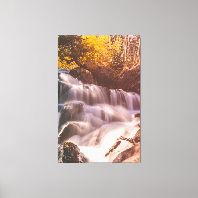 Waterfalls in Forest  Canvas Print (Front)