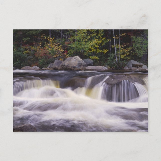 Waterfalls, Kancamagus Highway, White Postcard (Front)