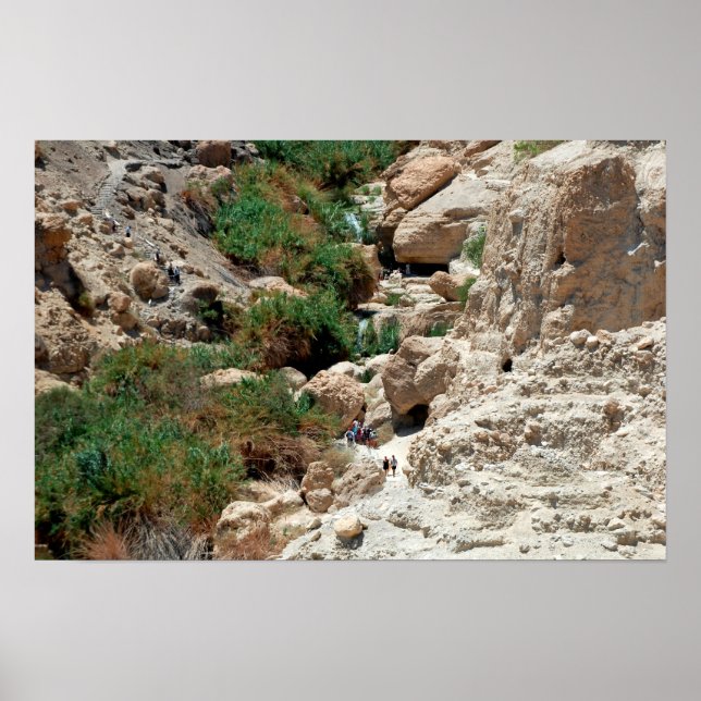 Waterfalls of Ein Gedi in Judean Desert, Israel Poster (Front)